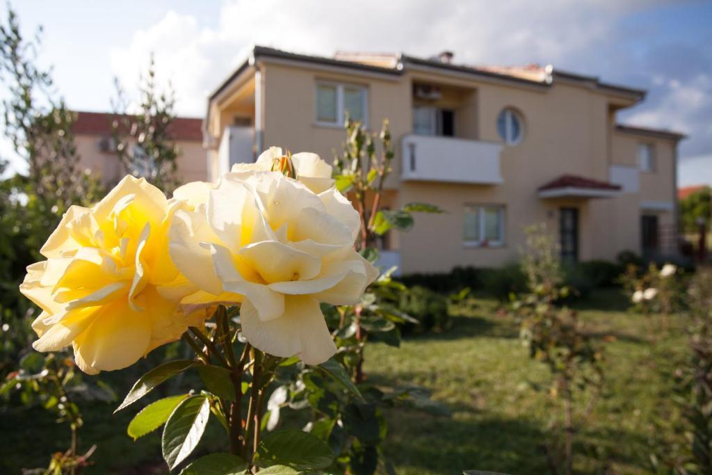 Apartments Emma Биоград на Мору Екстериор снимка