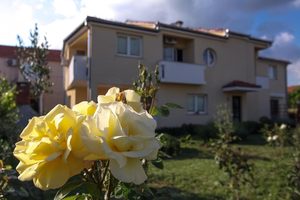 Apartments Emma Биоград на Мору Екстериор снимка