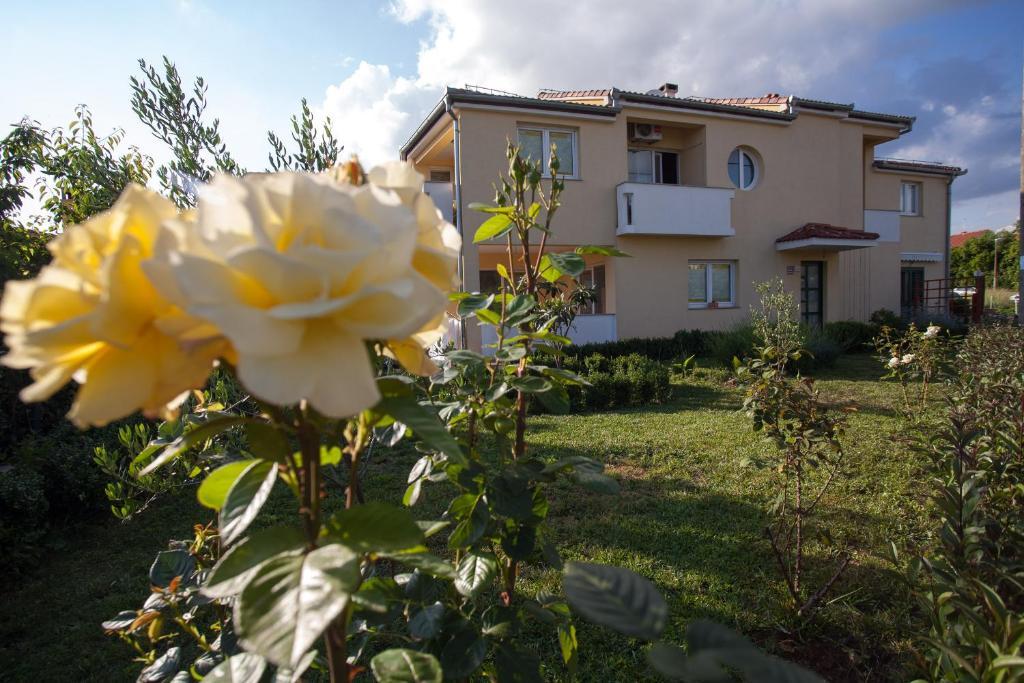 Apartments Emma Биоград на Мору Екстериор снимка